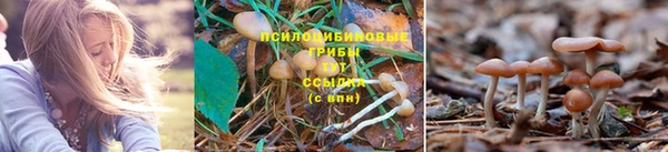 синтетический гашиш Белоозёрский