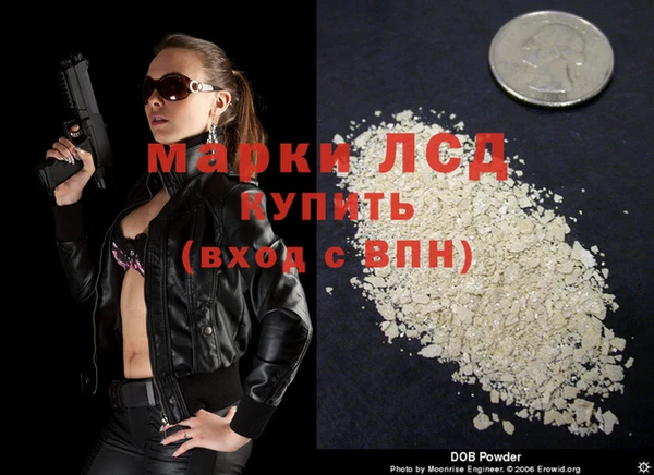 шишки Беломорск
