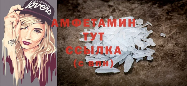 шишки Снежногорск