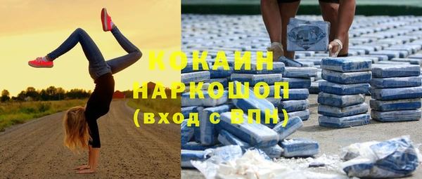 шишки Беломорск