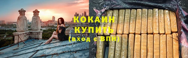 шишки Беломорск