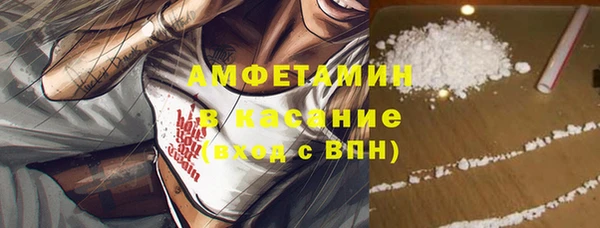 шишки Беломорск