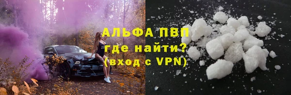 шишки Беломорск